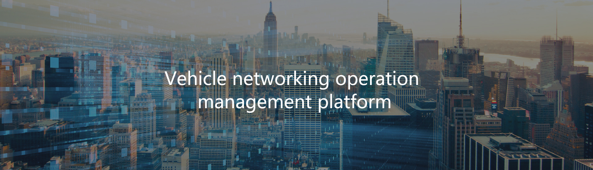 Fleet Management